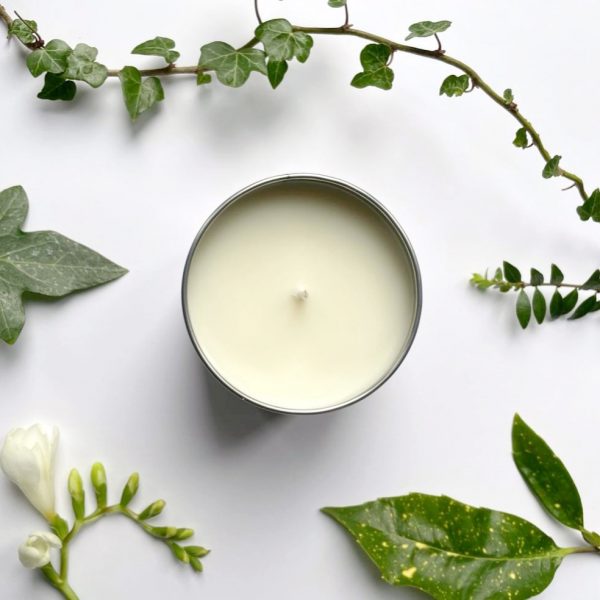 Blossom and Breeze pear and freesia candles